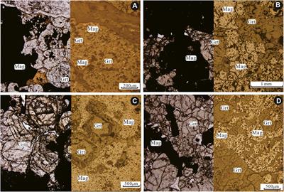 Mineralization age and genesis of the makeng-style iron deposits in the Paleo-Pacific tectonic domain of South China: In situ LA-ICPMS garnet U-Pb chronological and geochemical constraints